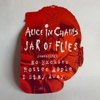 Alice In Chains - Jar Of Flies - 1994 Promotional Flat - Hung In Record Store