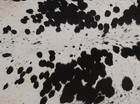 New Cowhide Rugs Area Cow Skin Leather 14 69 Sq feet  46 x46   Cow Hide M1229