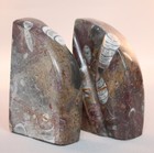 Set Of Polished Fossil Bookends