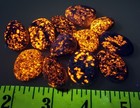 12 Per Lot Yooperlite Stone Super Bright Fluorescent Sodalite Lake Superior   