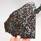 183g Beautiful Sericho Pallasite Meteorite Slice - From Kenya C6938