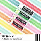 Chapstick Lip Moisturizer Skin Protectant Classic Original Lip Balm 3 Stick15 Oz