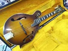 The Alvarez 1975 8 String Mandolin Model A700 With Case