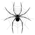 Cafepress Spider Web License Plate  664507363 