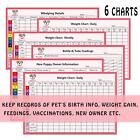 12pack Colorful Puppy Id Collar Identification Breakaway Whelping Litter Collars