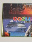 Mexico Travel Souvenir Fridge Magnet Cozumel