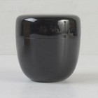 Wajima-nuri Tanaiuchi Kazunori Maki-e Natsume V9588 Tea Utensil 7x7 4cm