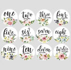 Milestone Monthly Stickers   Newborn Baby 1-12 Months Photo Props