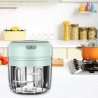 Electric 250ml Garlic Press Chopper Chili Onion Fruits Meat Mincer Blender Mixer