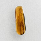 Lucanidae Stag Beetle In Burmese   Burmite Amber Fossil   100  Genuine Amber