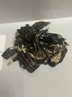 14 Small American Alligator Feet 1-2    Louisiana
