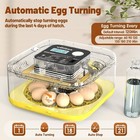 12 Eggs Incubator With Automatic Egg Turning Temperature   Humidity Control Led