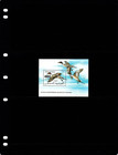 8 00 Scott Value - 1990 Yemen Ducks S s Birds South Arabia Cv Mnh Nh Umm