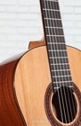 Cordoba C5  Nylon String Acoustic Guitar - Cedar