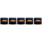 Predator 1080 Performance Chalk Blue - 5 Piece Tube
