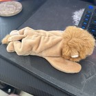 Ty Beanie Baby - Roary The Lion  8 Inch  New Mwmts Plush Stuffed Animal Toy