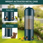 Bird Feeders For Squirrel Proof With Weight-activated Perche hanging Bird Feeder