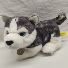 Aurora Miyoni Tots Husky Puppy Dog Stuffed Animal Blue Eyes Realistic Plush