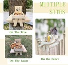 Squirrel Feeder For Outside And Garden Funny Squirrel Picnic Table Feeder With C