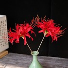 Red Spider Lily Hairpin Set Hanfu Hair Clip Chinese Style Flower Accessory 2pcs