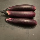 Artificial Fake Food Vegetable Eggplant Garden Farm Produce Display Prop Vep