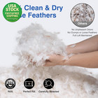 Queen Size Feather Pillows Set Of 2 Goose Down Cotton Cover Soft Support