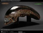 Coolprops Alien New Warrior 1 1 Scale Head Bust Collectible Nib Aliens
