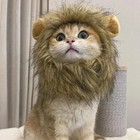 Cute Lion Mane Cat Wig Small Dog Cats Costume Lion Mane Wig Cap Hat For Cat Dogs