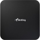 Birddog Play 4k Ndi Player