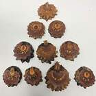 Knobcone Pine Cone Slices For Jewelry Crafts Core Heart Cut