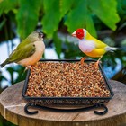 Ground Bird Feeder Tray  Metal Platform Mesh Seed Tray For Bird Feeders  Grea   