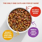 Meow Mix Original Choice Dry Cat Food  30 Pounds