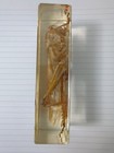 Real Grasshopper Insect Specimen Embedded In Resin Educational Display