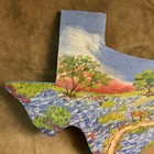 Vintage 1940s Hand Painted Wood State Of Texas Bluebonnet Trail Meyer Souvenir