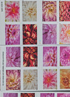 Authentic Dahlias 2025 First-class Stamps   5992-6001  100 Stamps Total 