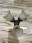 Hunter Ceiling Fan Replacement Light Kit  bronze  3-light