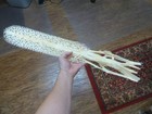 W3-w 26  Paddlefish Skeleton Head Bill Polyodon Spathula Spoonbill Paddle Fish