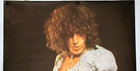 Roger Daltrey Poster The Who 1970 Pace Promo Rare 25x38