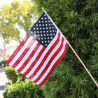 Set Of 24 Small American Flags On Stick - Proudly  8 X 12 Inch Mini Outdoor F   