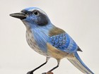 Hand Painted Wooden Bird - Carved  Scrub Jay Signed Vintage Artwork