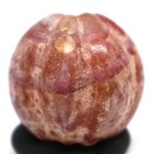 Genuine Ancient Carnelian Agate Stone Bead In Good Condition