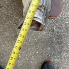 Vintage Largemouth Bass 21 Inches Real Skin Mount  Mancave Cabin Taxidermy