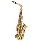 Professional Saxophone Sax Eb Be Alto E Flat Brass With Case care Kit