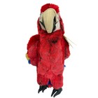 Folkmanis Puppets Scarlet Macaw Hand Puppet Toy Plush Stuffed Animal New W flaw