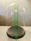 Vtg Glass Dome Cloche Display Case 12    Tall 8    Diameter Black Plastic Base