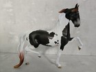 2024 Fcm Saddlebred Stallion Dah Matte Dapple Mulberry Grey Pinto Stone Horse