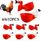 4x 6x 12x Poultry Water Drinking Cups Chicken Hen Automatic Drinker Duck Quail