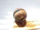 Port Royal Piratr Large Swivelgun Cannonball  Captain Henry Morgans Brig  1692