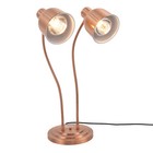 500w Double Head Electric Food Heat Lamp For Food Service food Warmer Light