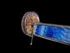 Artisan Kaleidoscope Vtg Stained Glass Functional Pressed Flowers One Of A Kind